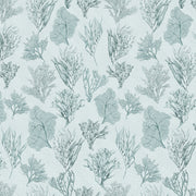 Kelp Forest Wallpaper Clay
