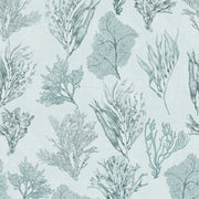 Kelp Forest Wallpaper Clay