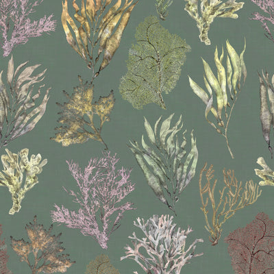Kelp Forest Wallpaper Moss
